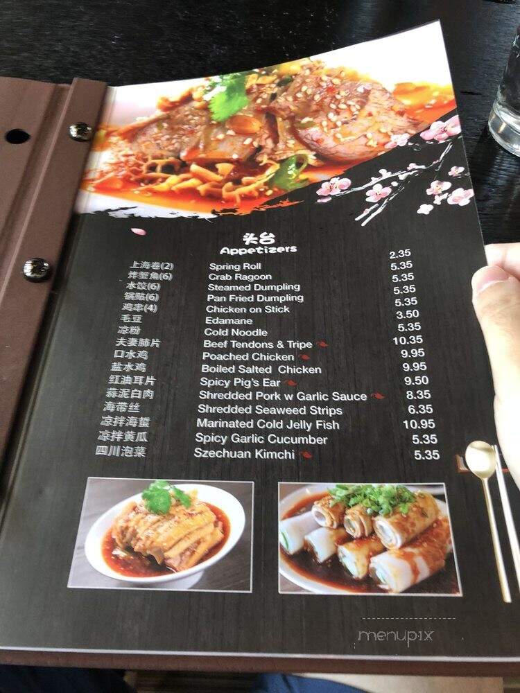 Spicity - Blacksburg, VA menu_pic