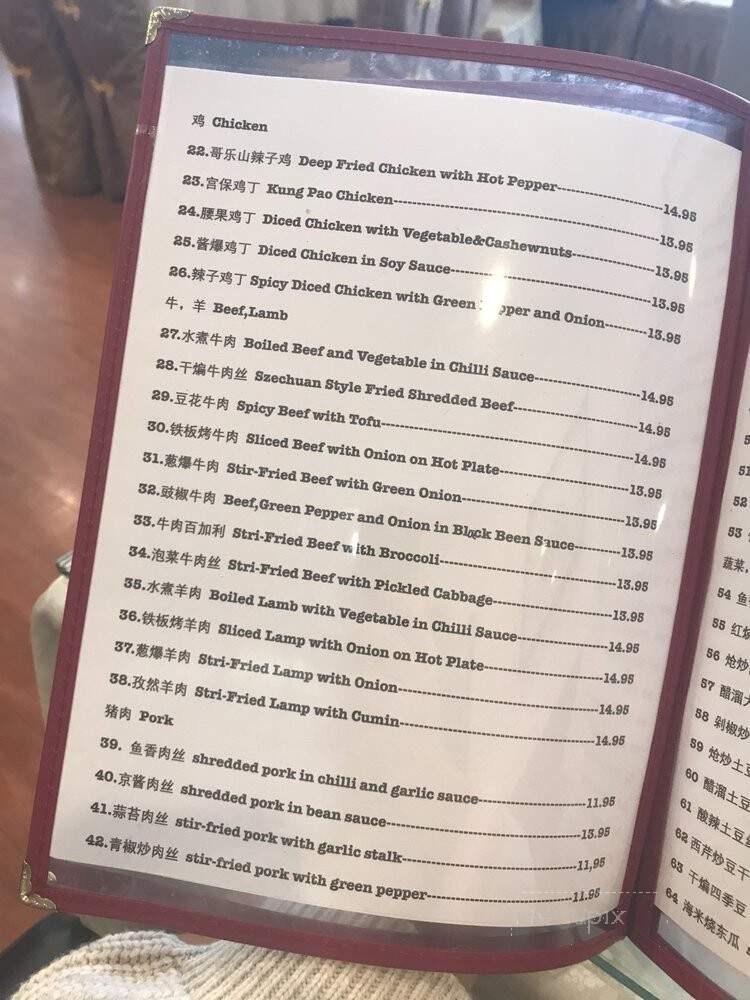 Szechuan Delicious - Richmond, BC menu_pic