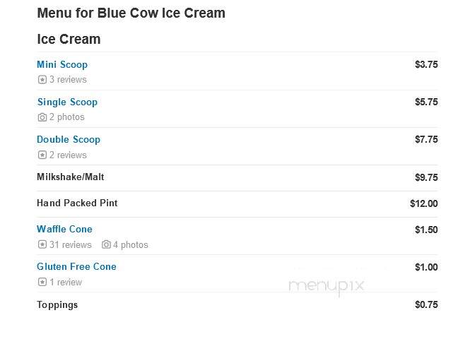 Blue Cow Ice Cream - Roanoke, VA