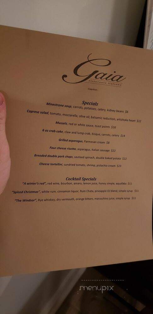 Gaia Ristorante - Berwyn, IL menu_pic
