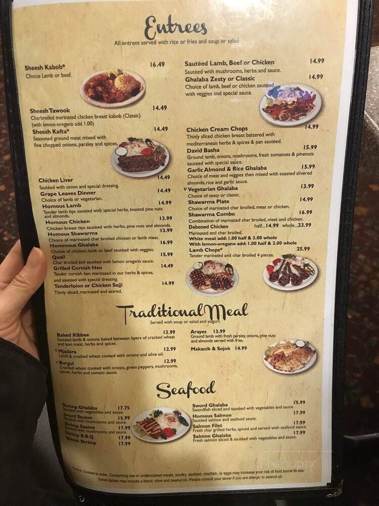 Sheesh Mediterranean - Livonia, MI menu_pic