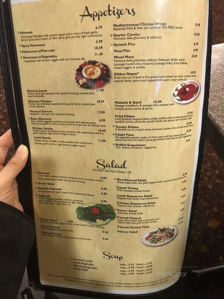 Sheesh Mediterranean - Livonia, MI menu_pic