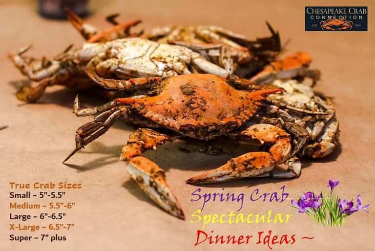 Chesapeake Crab Connection Co - Lancaster, PA