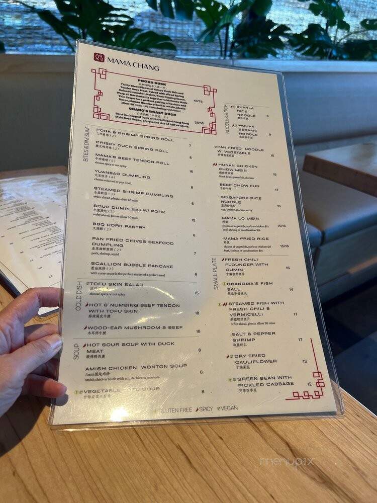 Mama Chang - Fairfax, VA menu_pic