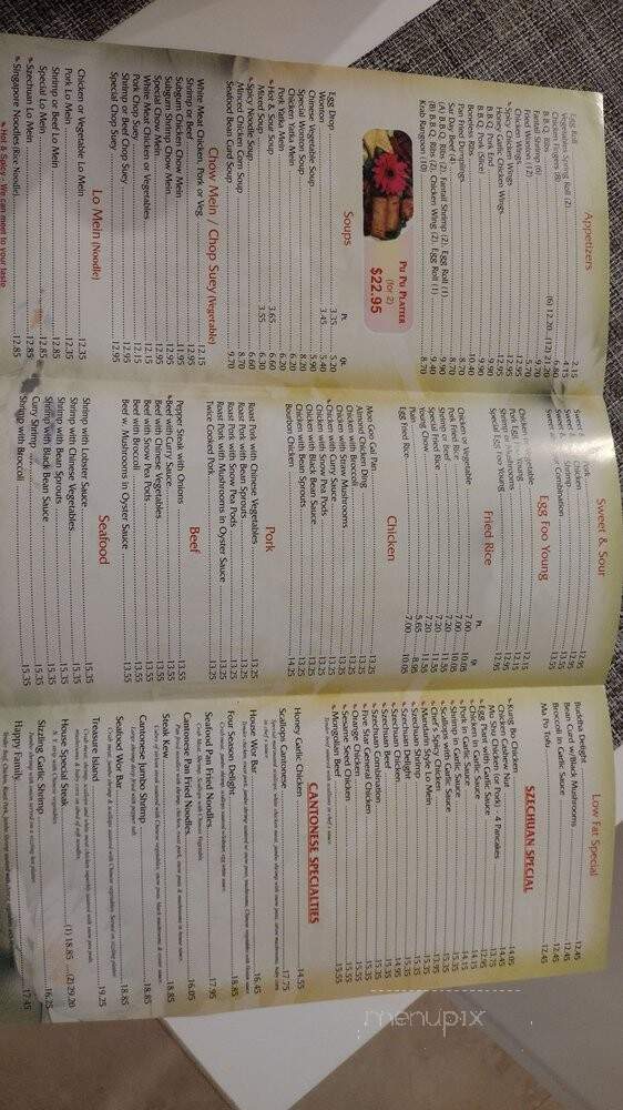 China Island Chinese Restaurant - Davie, FL menu_pic