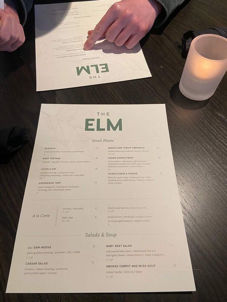 The Elm - Bloomington, IN