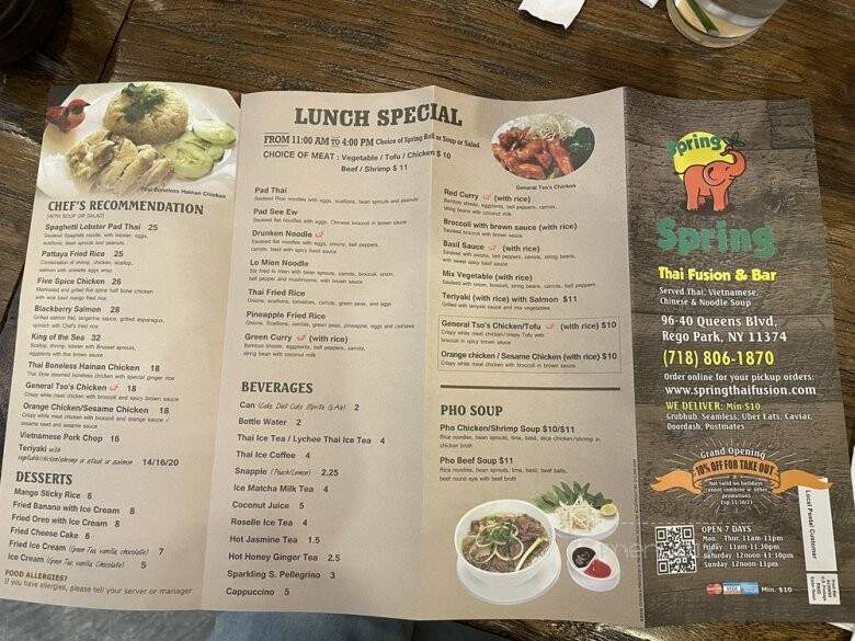 Spring Thai Fusion & Bar - Rego Park, NY menu_pic