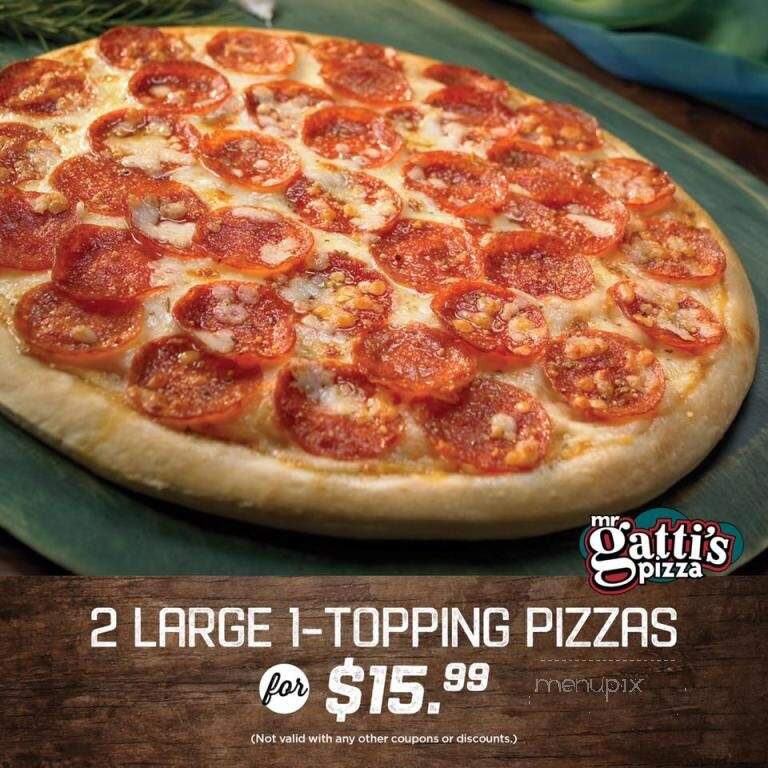 Mr Gatti's Pizza - New Iberia, LA menu_pic