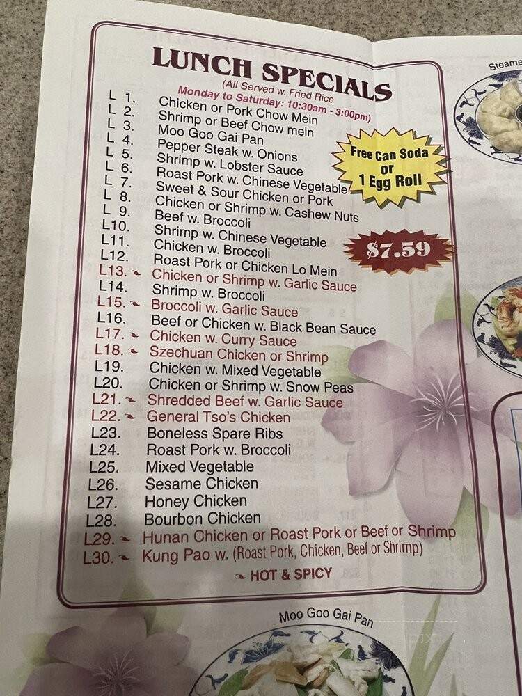 China Dragon - Jacksonville, FL menu_pic