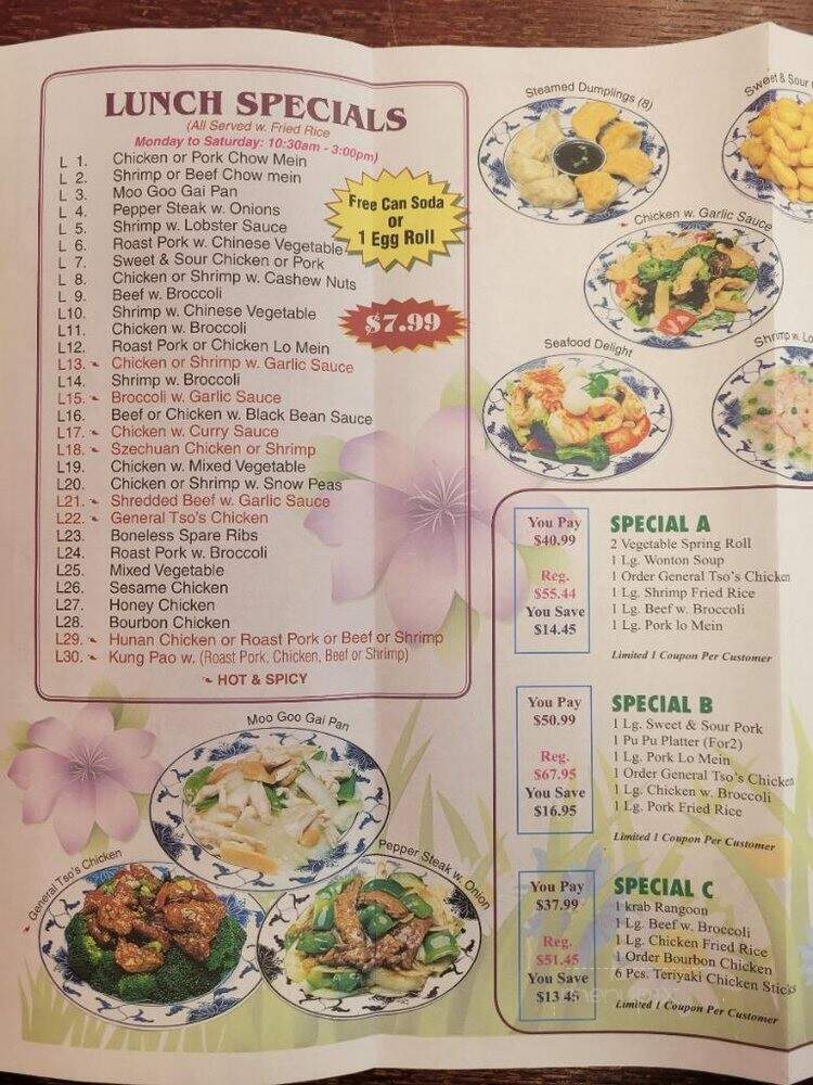 China Dragon - Jacksonville, FL menu_pic