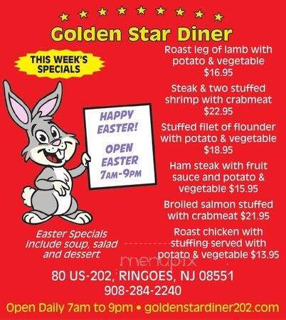 Ringoes Golden Star Diner - Ringoes, NJ