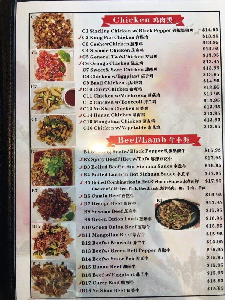 Yummy Sichuan - Flower Mound, TX