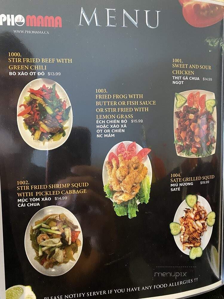 Pho Mama - Oakville, ON menu_pic