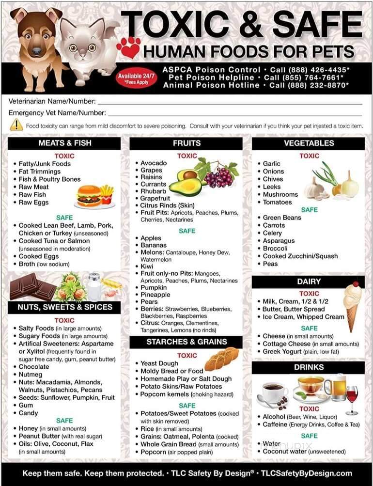 Karen's Pet Grooming and Boarding - Joliet, IL menu_pic