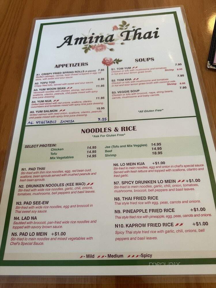 Amina Thai Restaurant - Rockville, MD
