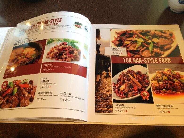 South Silk Road - Edmonton, AB menu_pic