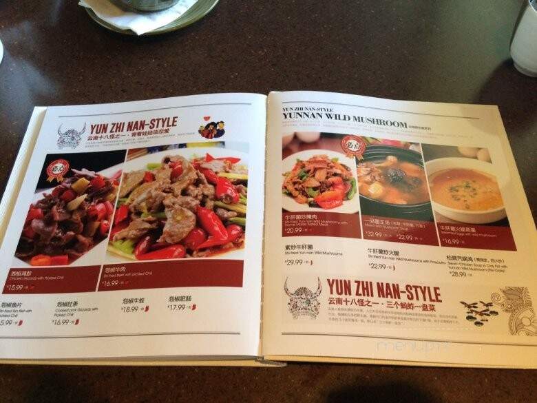 South Silk Road - Edmonton, AB menu_pic