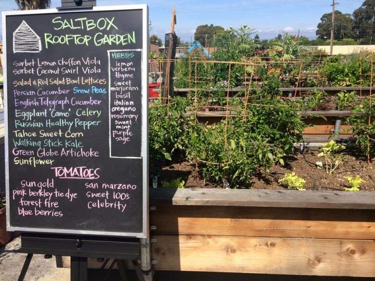 Johnston's Saltbox - San Carlos, CA