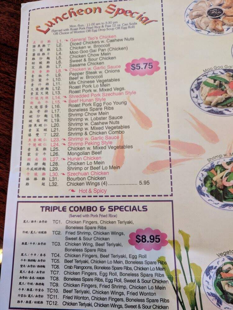 Golden Bowl - Valrico, FL menu_pic