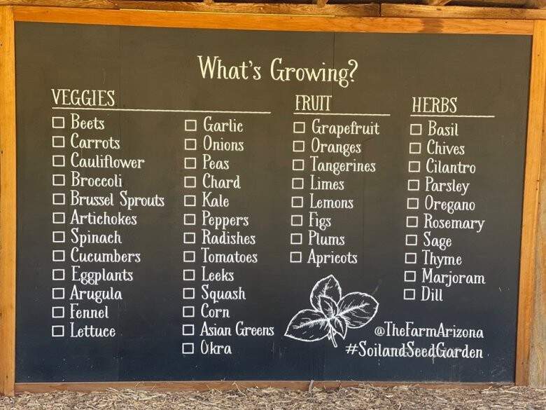 Morning Glory Cafe - Phoenix, AZ menu_pic