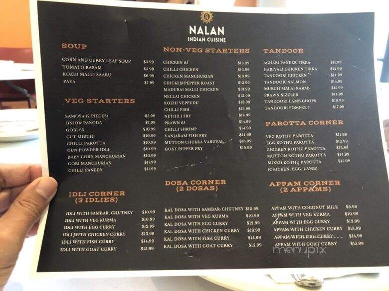 Nalan Indian Cuisine - Alpharetta, GA menu_pic