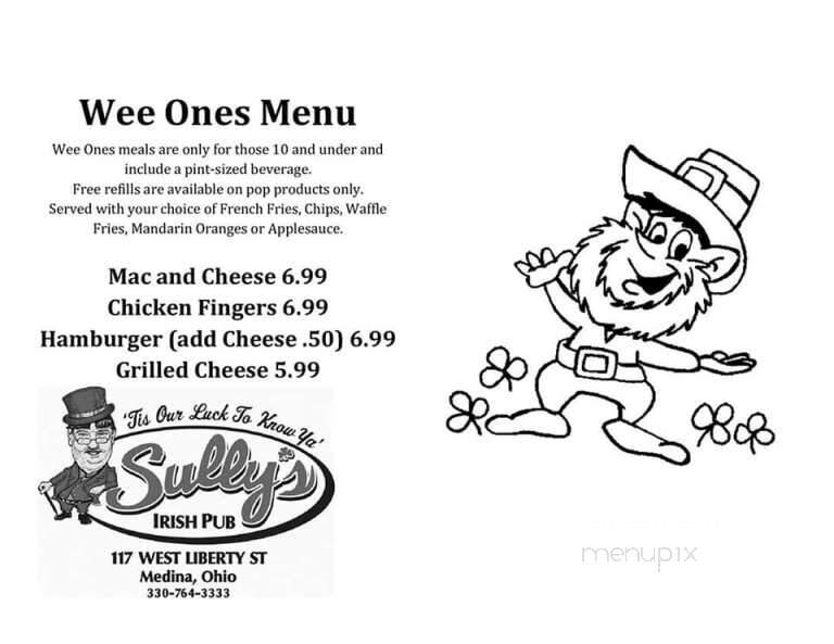 Sully's Irish Pub - Medina, OH menu_pic