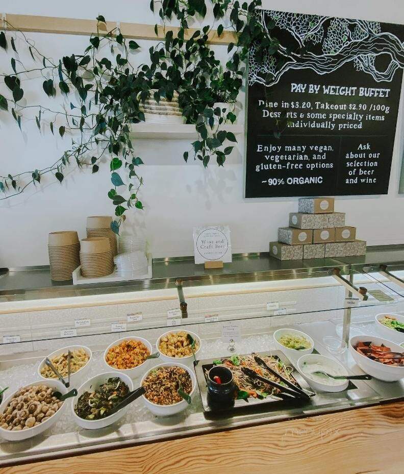 Green Door Vegetarian Restaurant - Ottawa, ON menu_pic