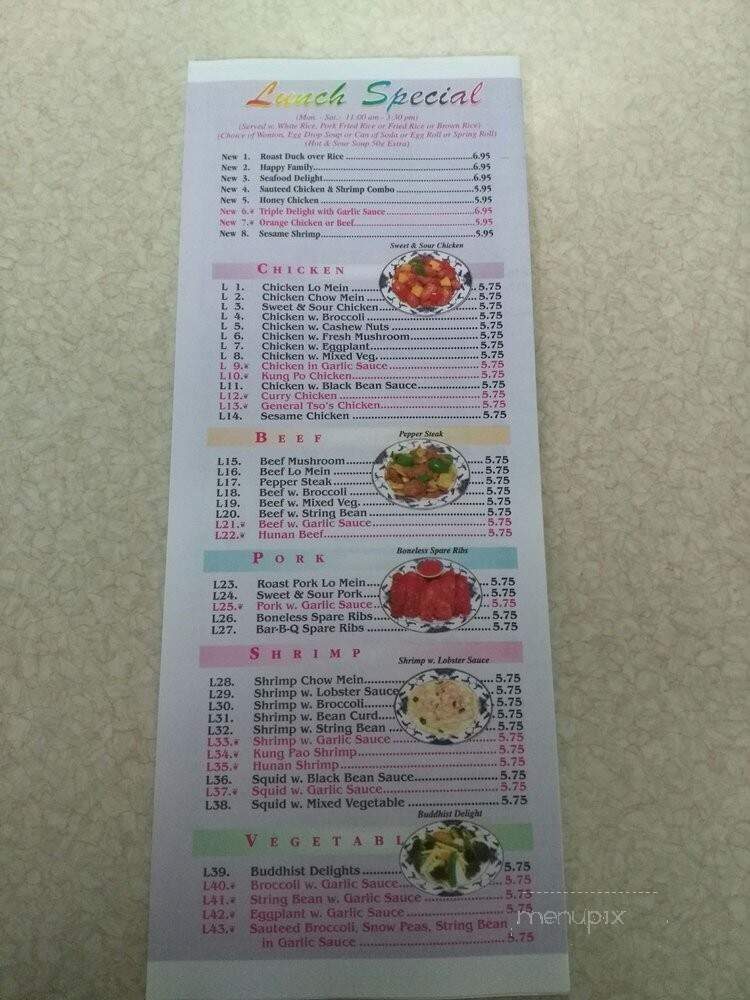 Didi Chinese Restaurant - Brooklyn, NY menu_pic