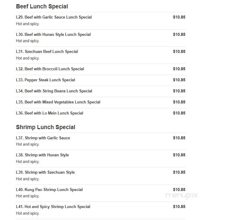 China Express - Washington, PA menu_pic