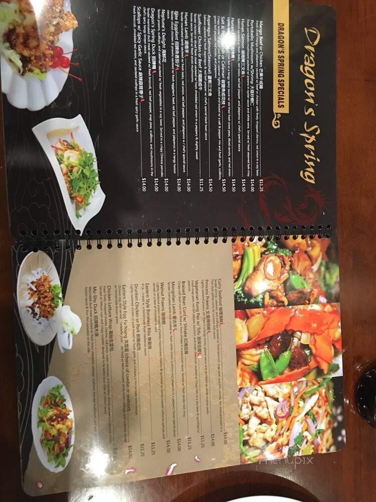Dragon's Spring Restaurant - Pleasant Hill, CA menu_pic