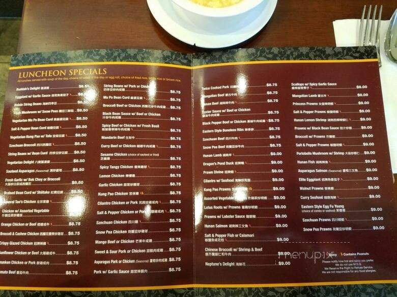 Dragon's Spring Restaurant - Pleasant Hill, CA menu_pic