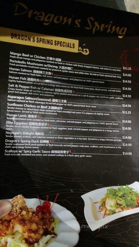 Dragon's Spring Restaurant - Pleasant Hill, CA menu_pic