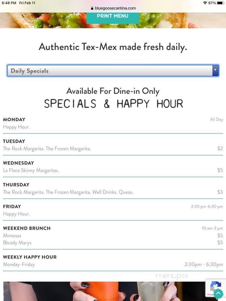 Blue Goose Cantina - McKinney, TX menu_pic