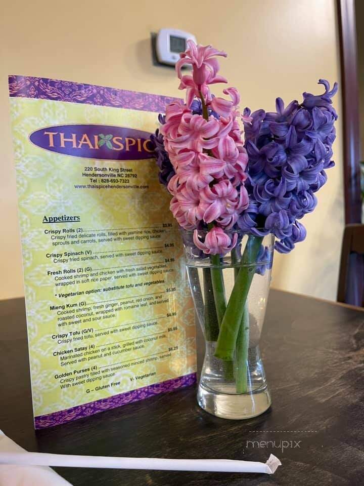 Thai Spice - Hendersonville, NC menu_pic