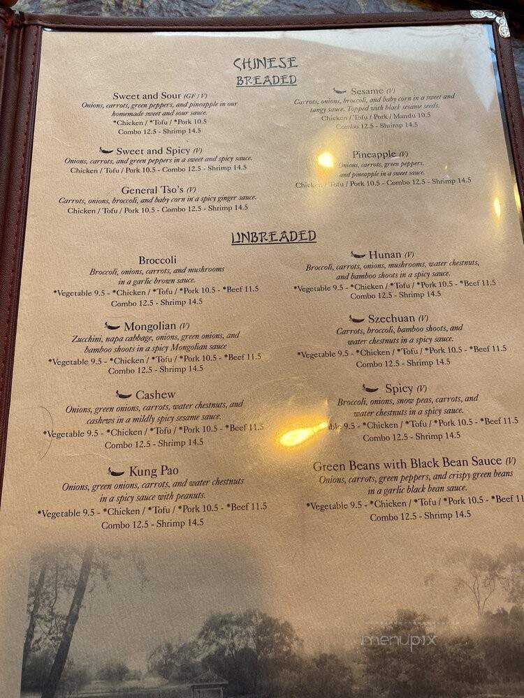 Silk Road - Vermillion, SD menu_pic
