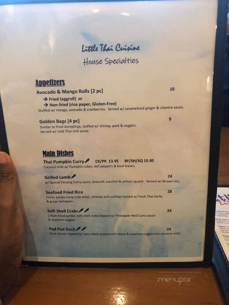 Little Thai Cuisine - Sandy Springs, GA