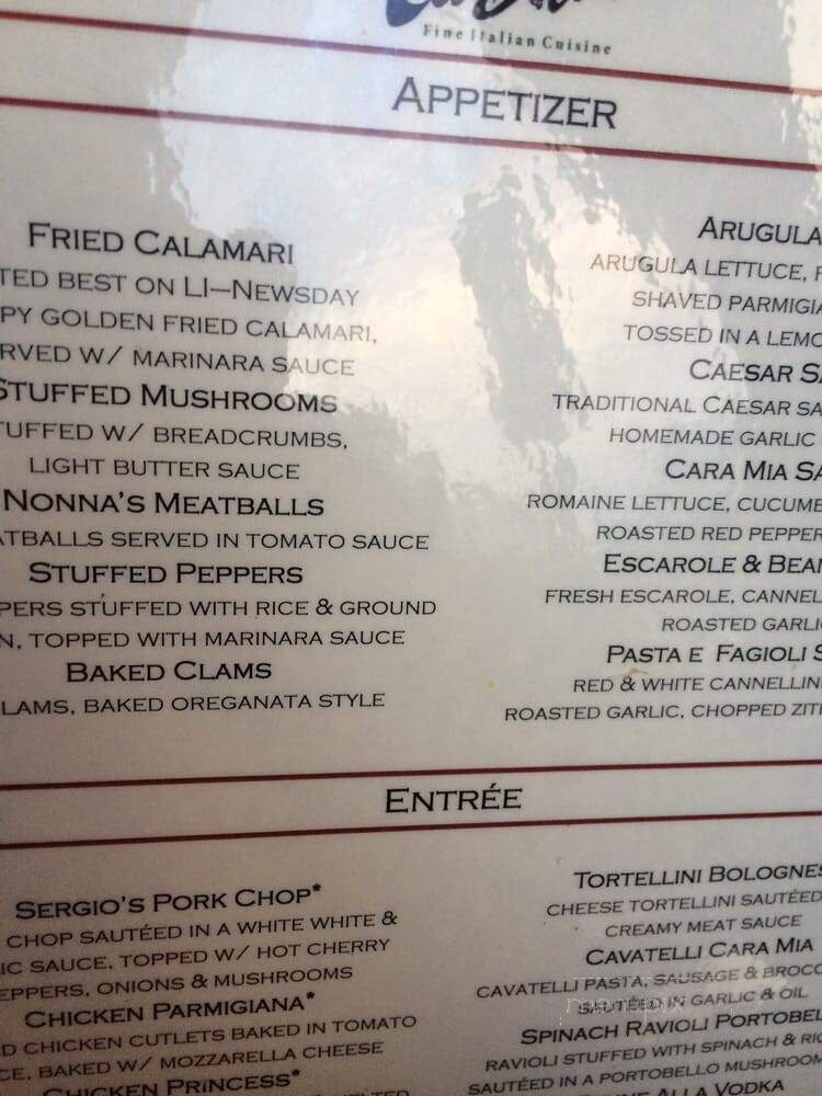 Cara Mia Restaurant - Seaford, NY menu_pic