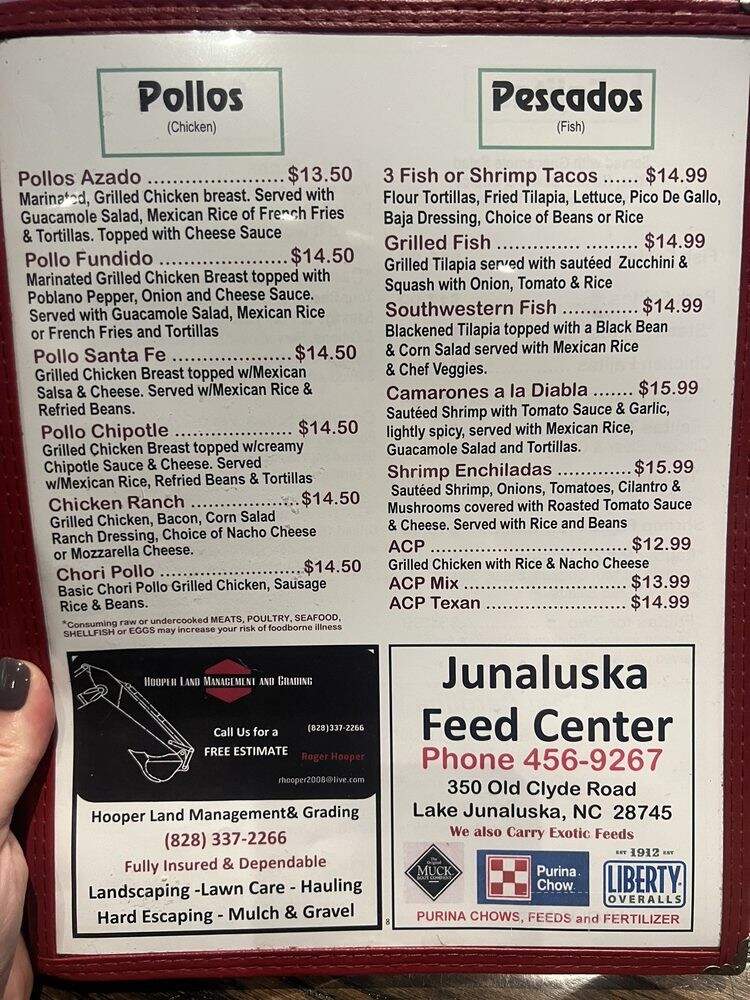 Los Amigos Restaurante - Waynesville, NC menu_pic