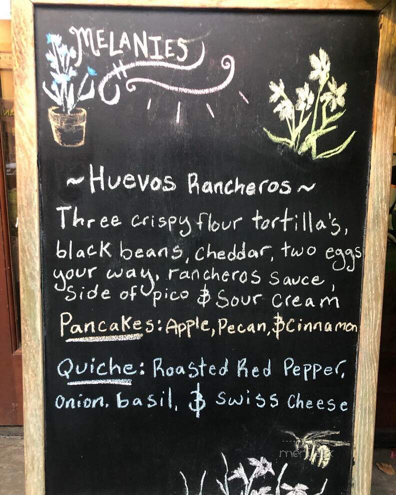 Melanie's Food Fantasy - Boone, NC menu_pic