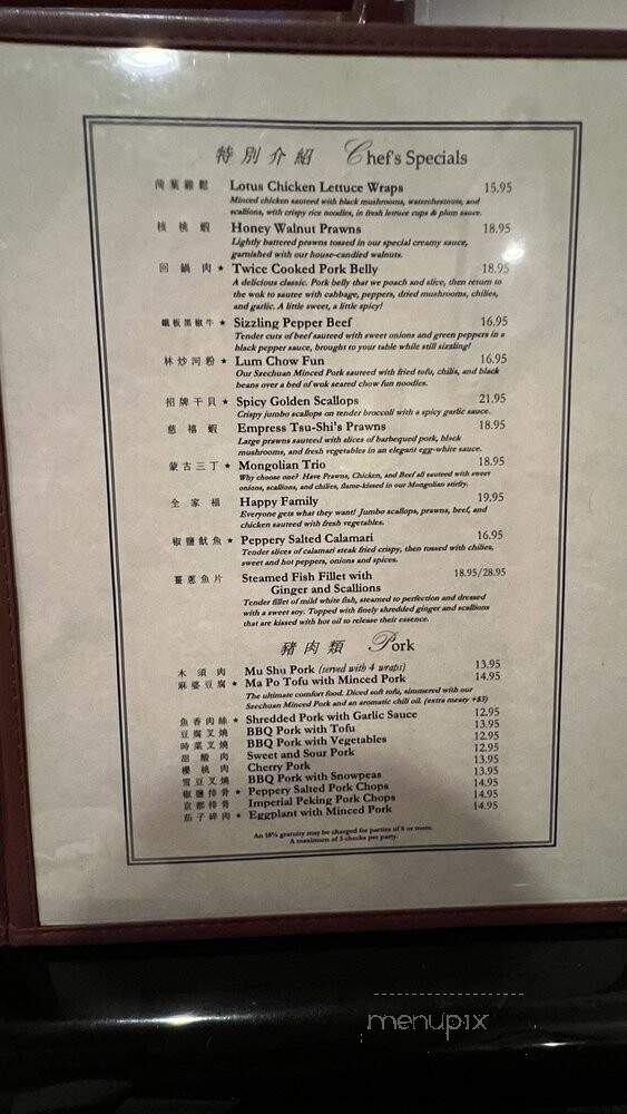Canton Village - Livermore, CA menu_pic