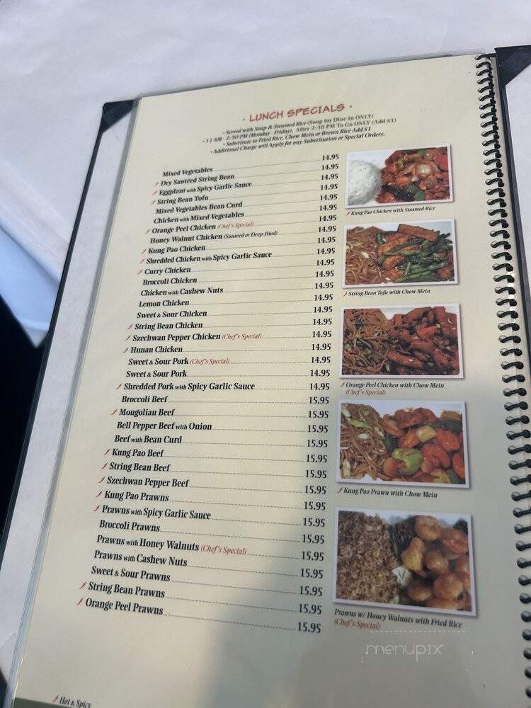 China Delight - San Jose, CA menu_pic