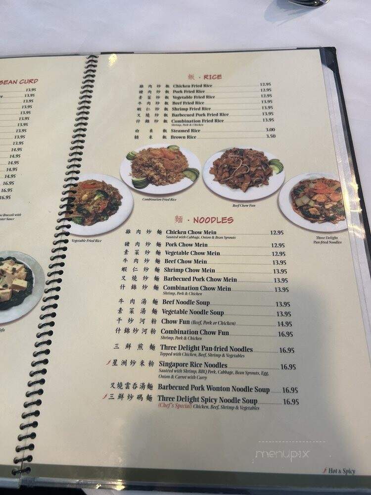 China Delight - San Jose, CA menu_pic