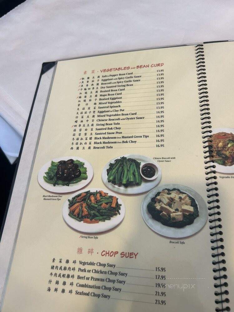 China Delight - San Jose, CA menu_pic