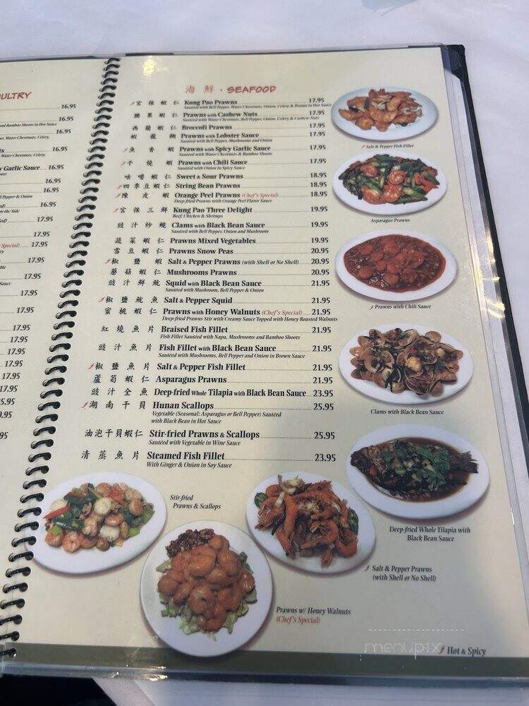 China Delight - San Jose, CA menu_pic