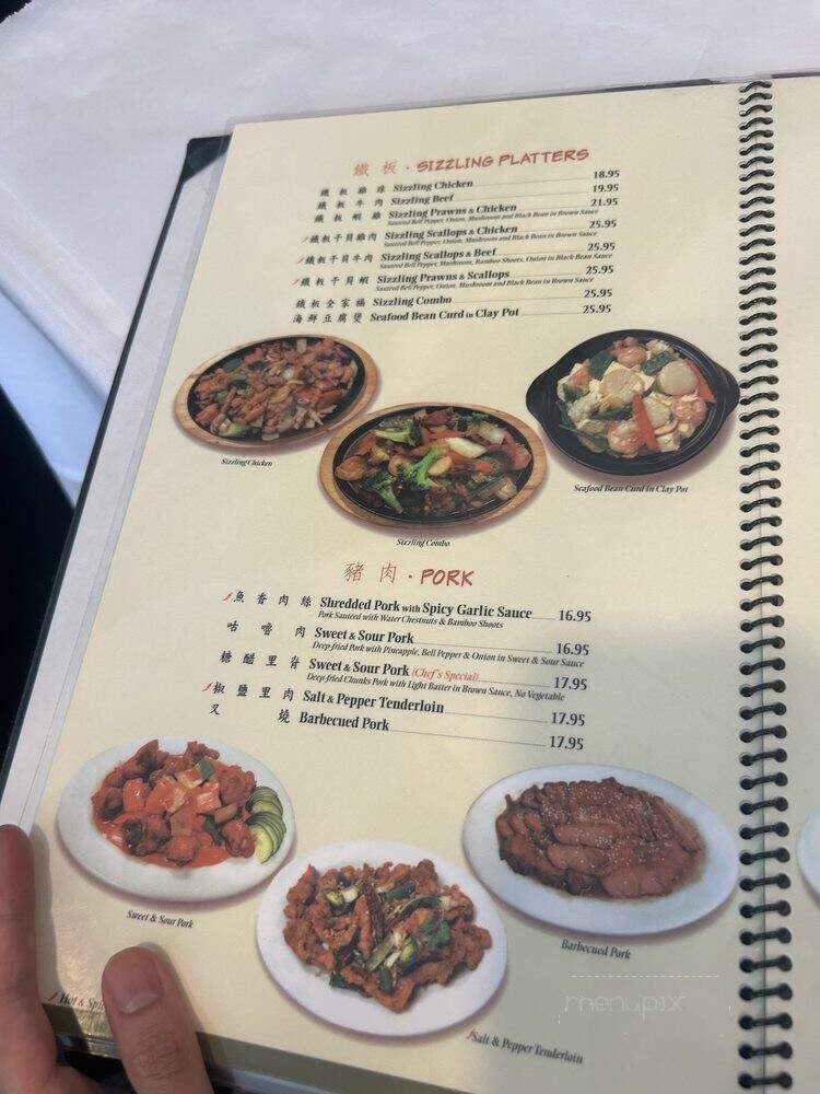 China Delight - San Jose, CA menu_pic