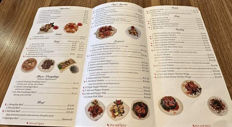 Nanking Bistro - Danville, CA menu_pic