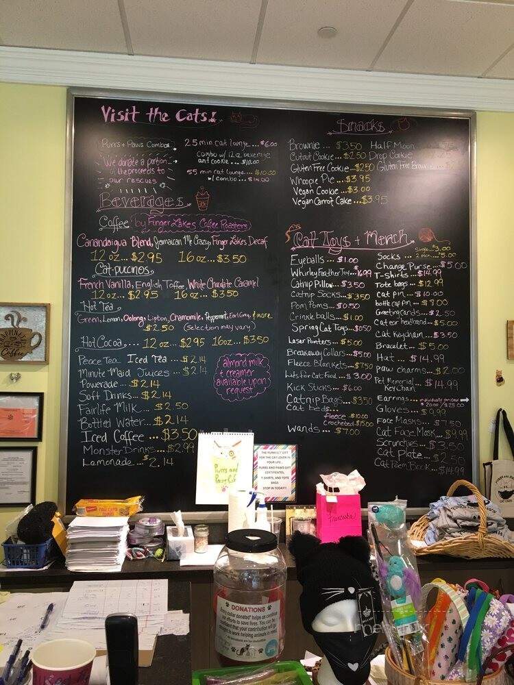 Purrs And Paws Cat Cafe - Victor, NY