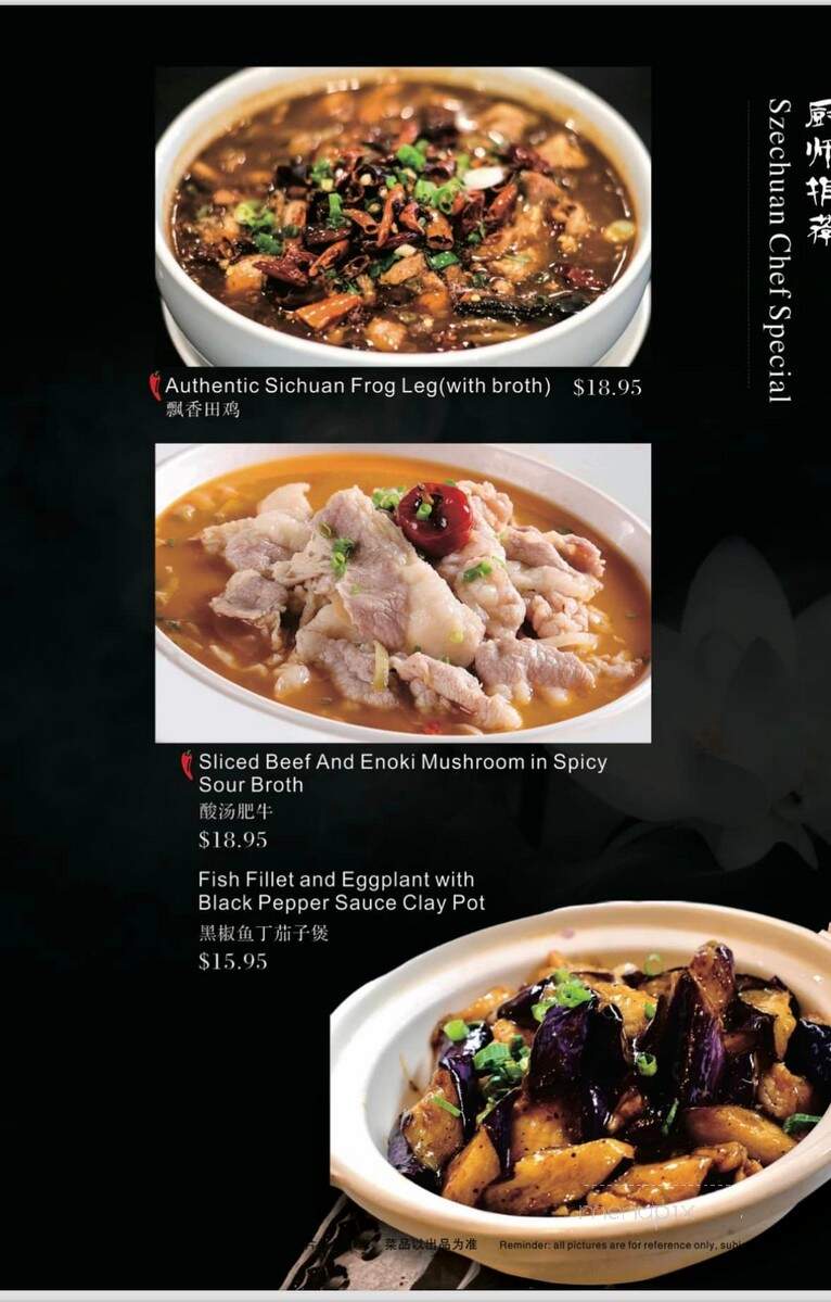Szechuan Story - Oklahoma City, OK menu_pic
