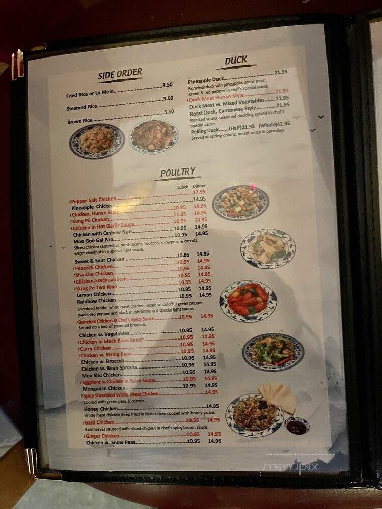 China Village - Ellicott City, MD menu_pic