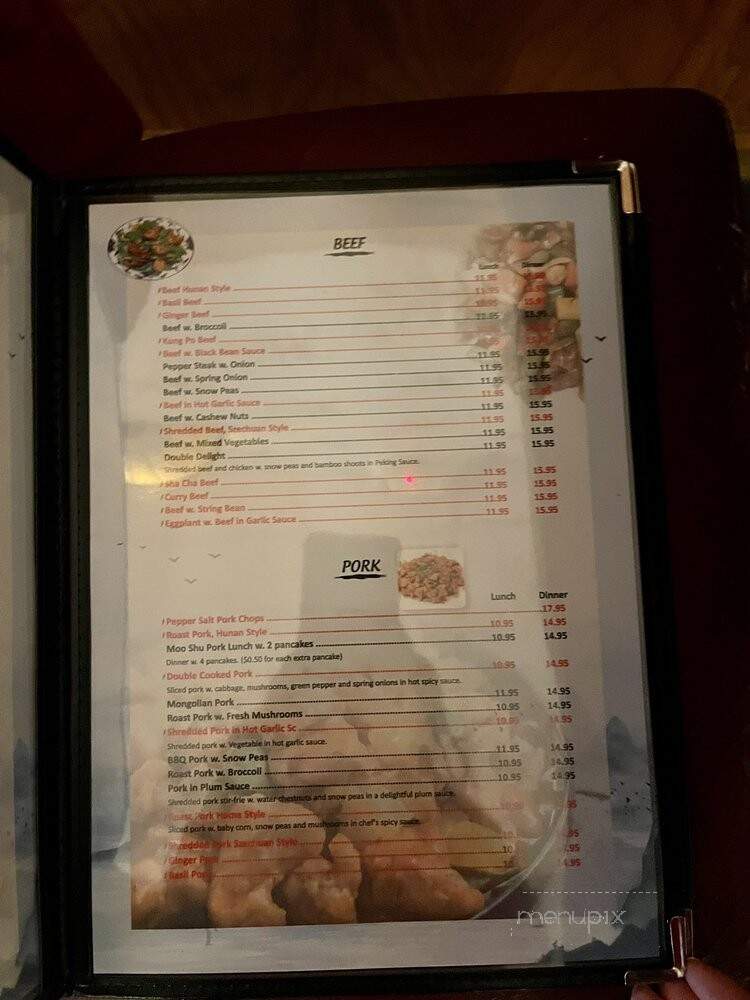 China Village - Ellicott City, MD menu_pic
